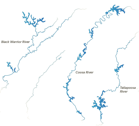 Our lakes