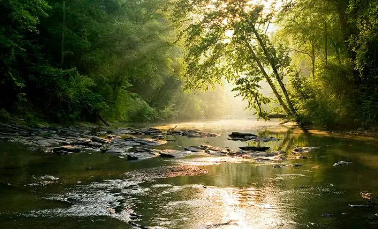 Beauty shot of the Cahaba River.