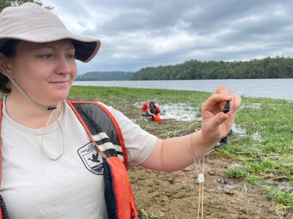 Jennifer Grunewald with the U.S. Fish and Wildlife Service holds a rough hornsnail during a survey at Alabama Power's Lake Mitchell.
