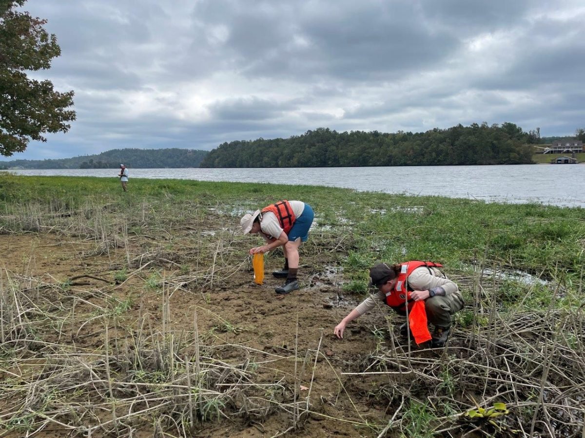 A team from Alabama Power and the U.S. Fish and Wildlife Service search for the rare, rough hornsnail at Lake Mitchell.