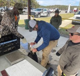 Fishermen brought in their catch for weighing. (Miller APSO)